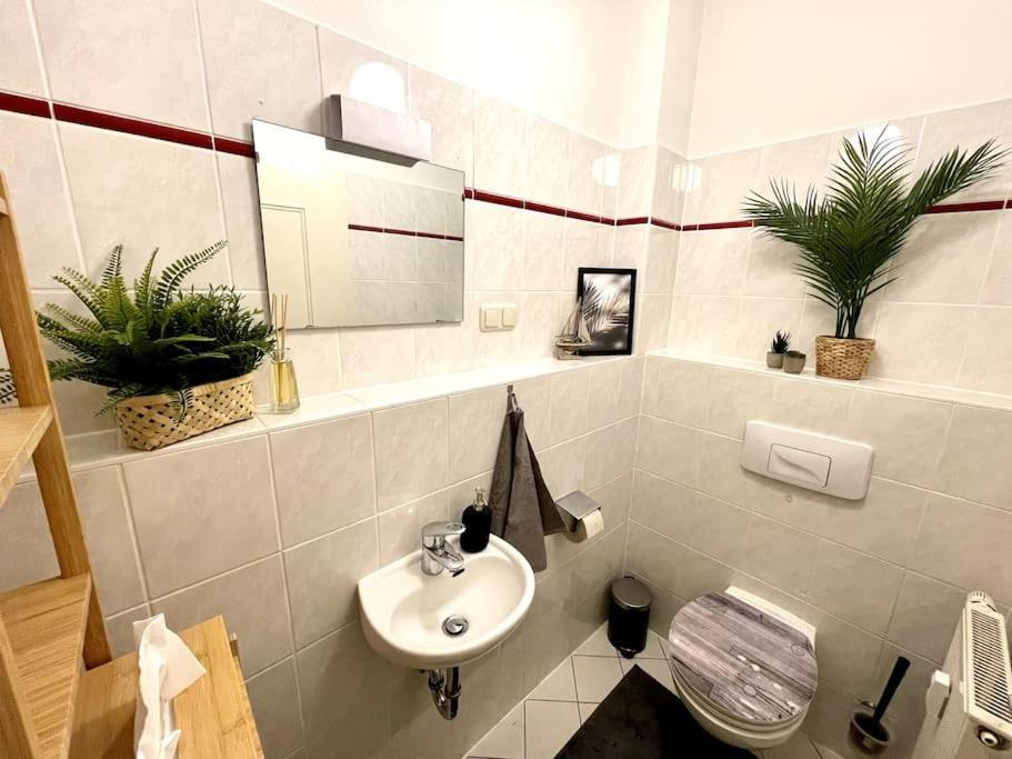 Casarina - Stilvoller Altbau In Zentraler Lage Daire Dresden Dış mekan fotoğraf